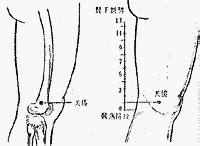 外觀穴|醫砭 » 經穴庫 » 外關